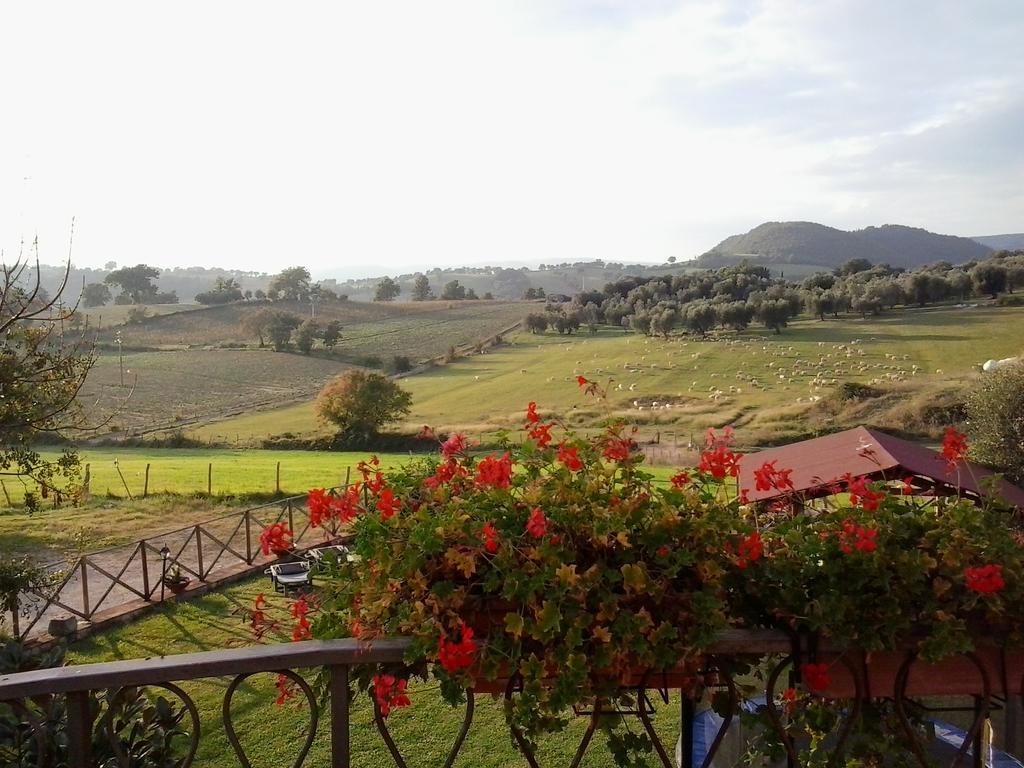 Agriturismo La Valle Degli Ulivi Semproniano Extérieur photo