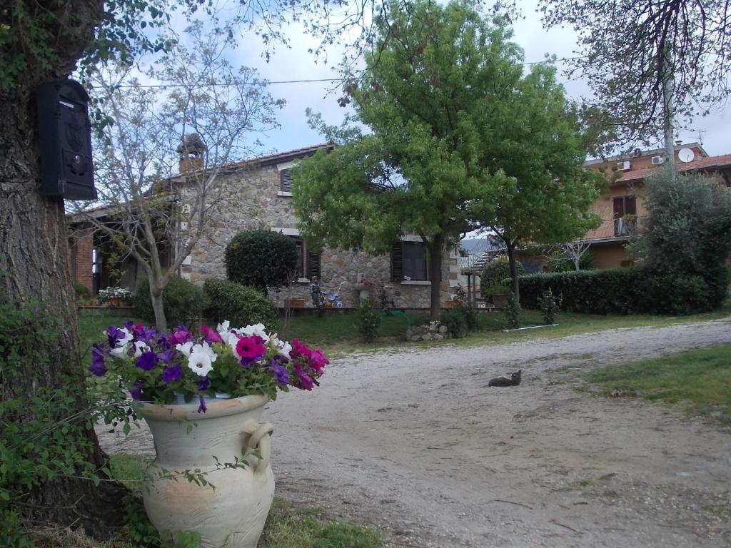 Agriturismo La Valle Degli Ulivi Semproniano Extérieur photo